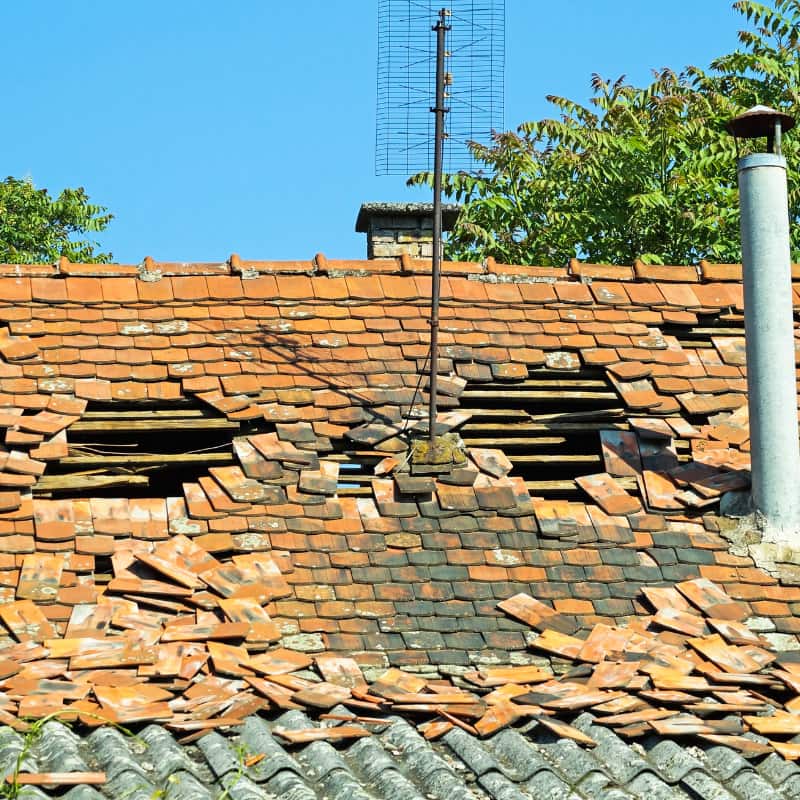 Image of visible damage and leaks on a roof, indicating immediate action is required.